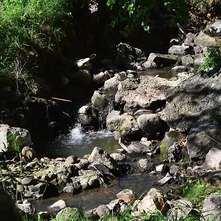 Chateau Roquehort Monein