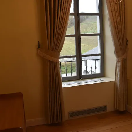 לינה וארוחת בוקר Chateau Roquehort Monein