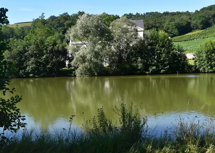 Bed & Breakfast Chateau Roquehort Monein